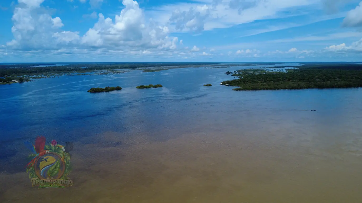 Selva del Guainía