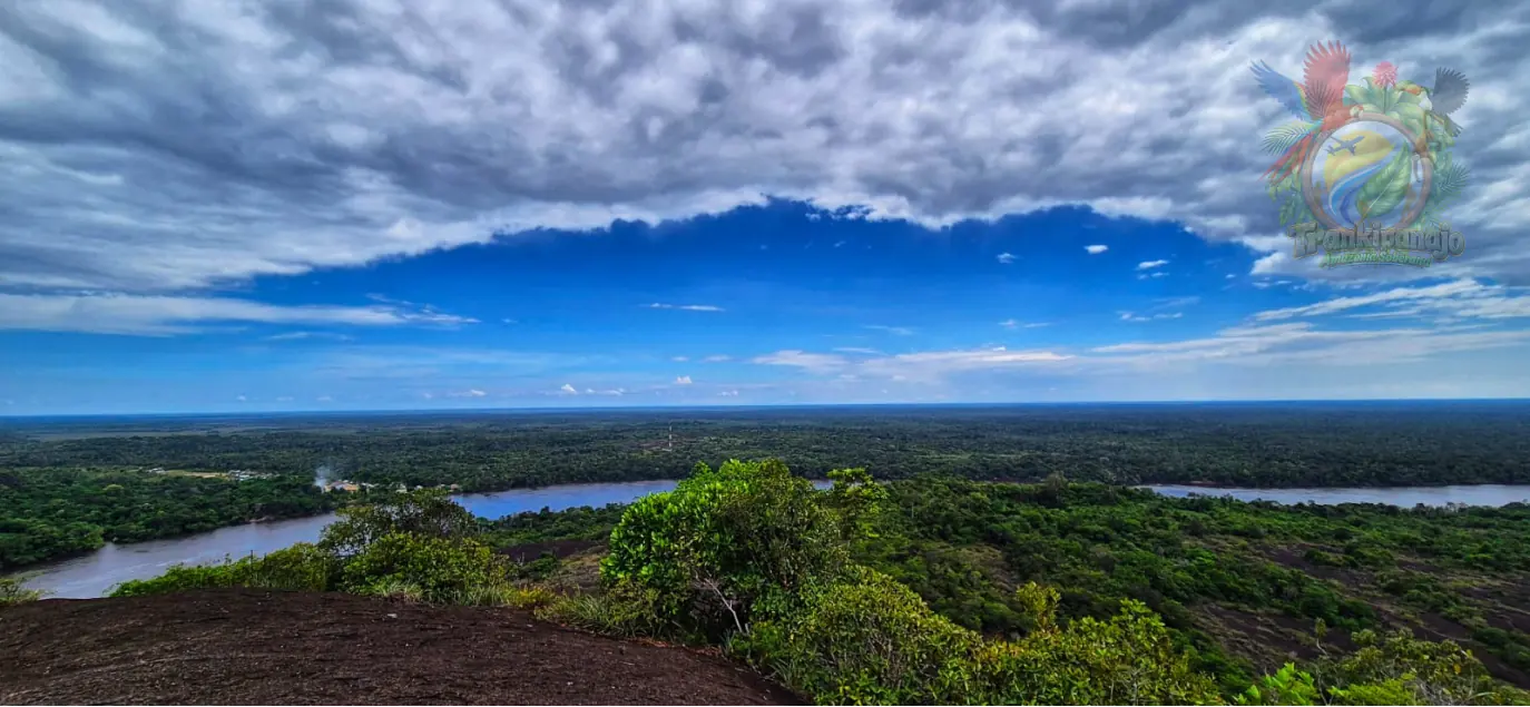 Selva del Guainía